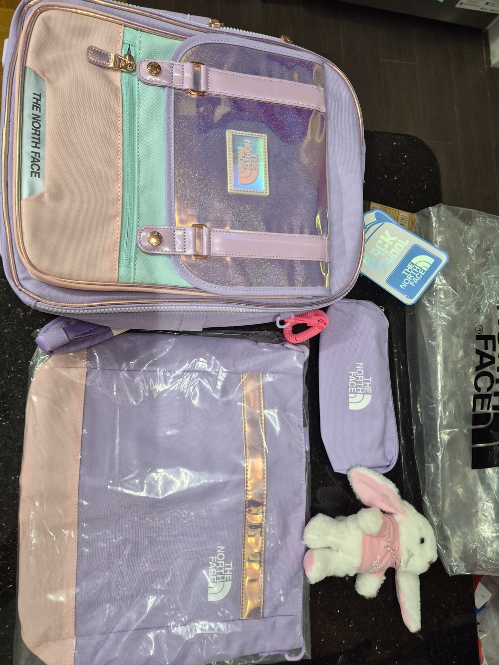 The North Face Kids Pastel Purple & Mint Backpack Set